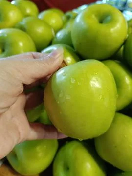 View of green apple in hand Stock Photos