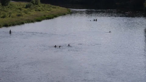 View of the green beach of a small river in the countryside ge people swimming o Stock Footage 279331085