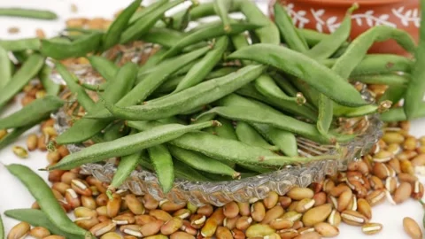 View of green beans falling over transparent glass bowl placed over beans seeds Video stock 159638171