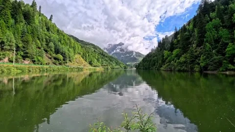 View of green-colored Golden Monkey Lake during a summer morning Stock Footage 340704959