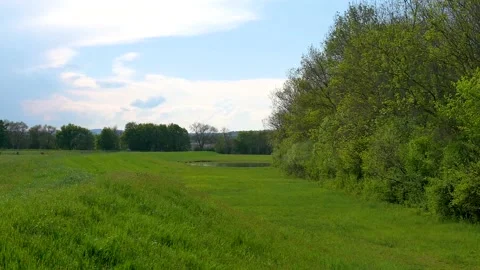 View of a green field with a blue sky countryside scene in summer Video stock 132345541