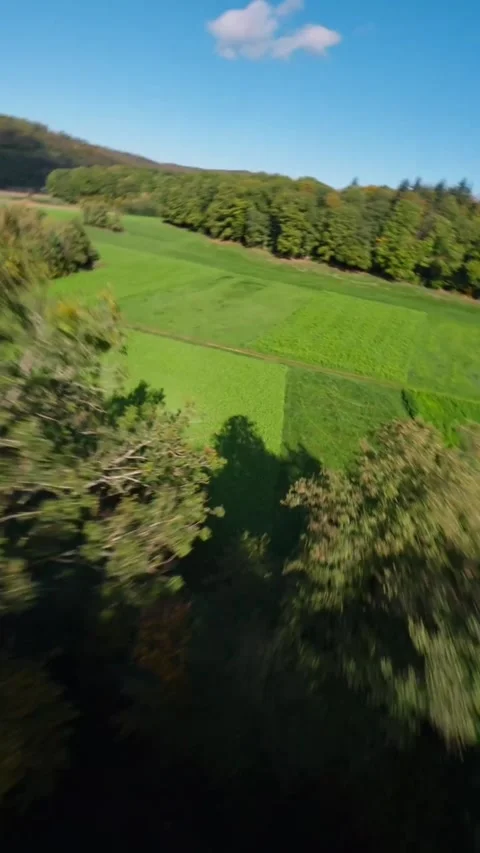 View of green field Stock Footage 271671862