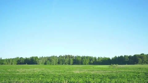 View of green field on the side of the road from car window. Beautiful nature Stock Footage 171915561