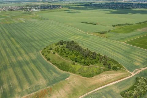 View of the green fields from a drone. Stock Photos