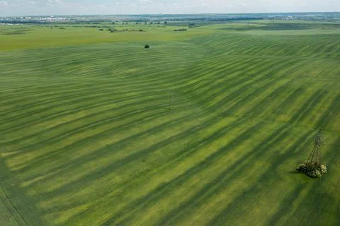 View of the green fields from a drone. Stock Photos