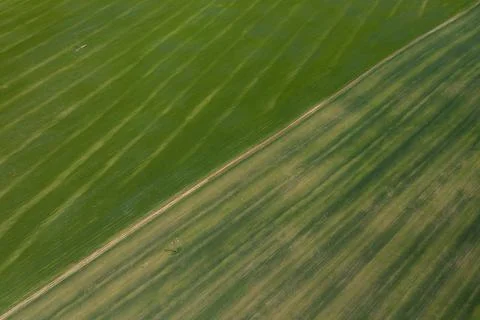 View of the green fields from a drone. Stock Photos