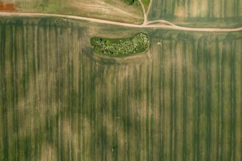 View of the green fields from a drone. Stock Photos