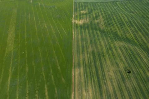View of the green fields from a drone. Stock Photos