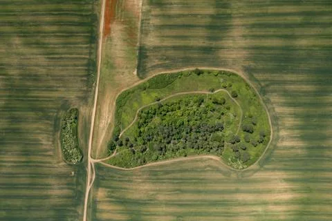 View of the green fields from a drone. Stock Photos
