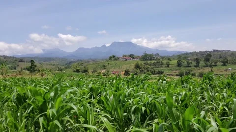 View of green fields in mountain area 스톡 동영상 208856348