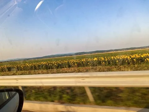 View of Green Fields from a Moving Vehicle Stock Photos