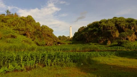 View of green fields on a sunny day with green rocky hills Video stock 166374271