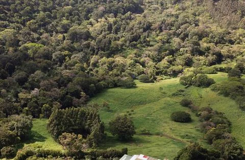 View of green forest and fields from high above in a remote location Фото