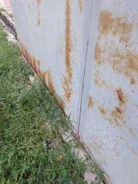 View green grass beside old wall steel plate. Stock Photos