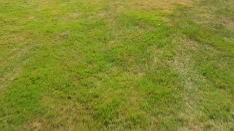 View of green grass field, showcasing natural greenery texture of a fresh lawn. 動画素材 292653879