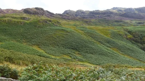 View of the green hill. Stock Footage 80996134