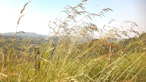 A view of green hills and valleys of the Waikato, New Zealand Stockbeeldmateriaal 121167110