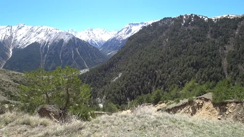 The view of the green hills covered with trees and snowy mountains Stock Footage 90492568