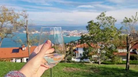 View to green hills, red roofs, Adriatic sea. blue sky. Koper, Slovenia Video stock 221694063