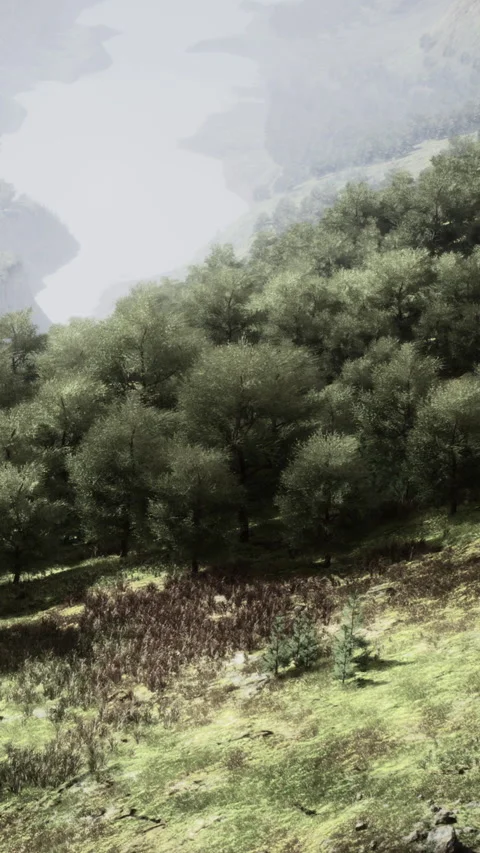 View of a green hillside with trees and grass near a mountain in daylight Stock Footage 338417312