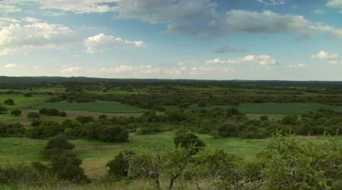 View of green landscape Stock Footage 54591789