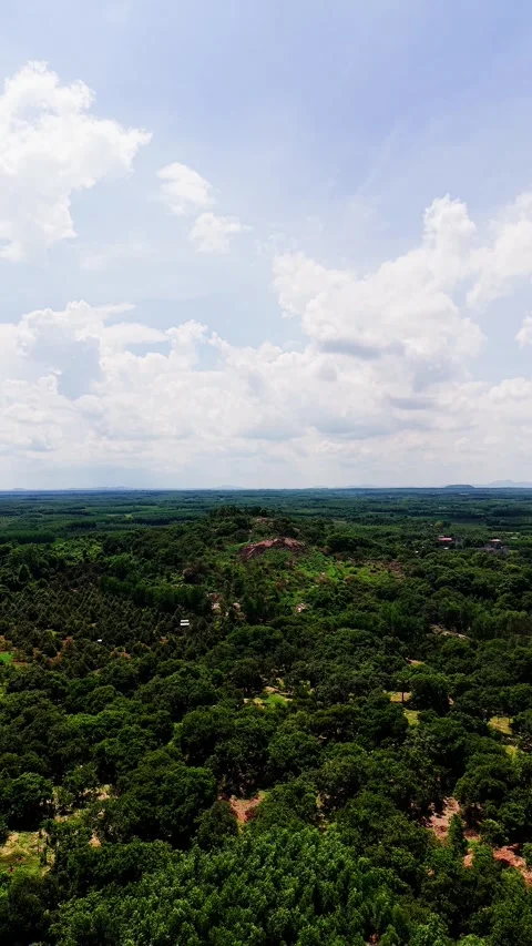 View of green landscape in Tra Tan Lam Dong Vietnam from high point Stock Footage 343701713