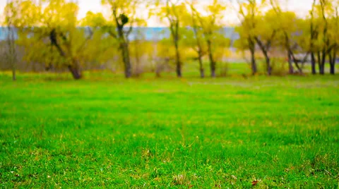 View of green lawn Video stock 38237438