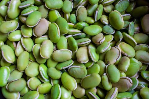 View of green lima beans (also known as mocha kottai in tamil language). Stock Photos