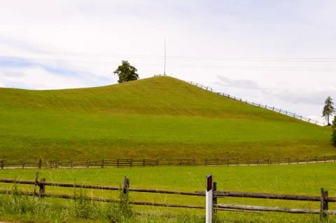 View of a green meadow Stock Photos