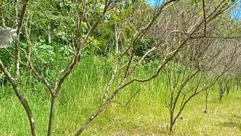 View of green meadows with bright blue sky. Video stock 328010610