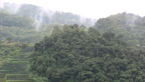 The view of the green nature on the mountain in the falling rain.  Stock Footage 142053199