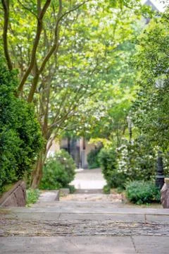 View on green park pathway in Spring Stock Photos