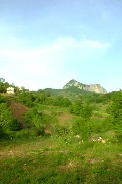The view of the green place in spring Stock Photos