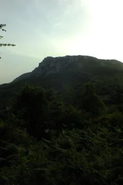 The view of the green place in spring 库存照片
