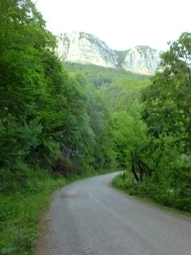 The view of the green place in spring Stock Photos