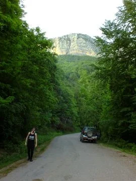 The view of the green place in spring Stock Photos