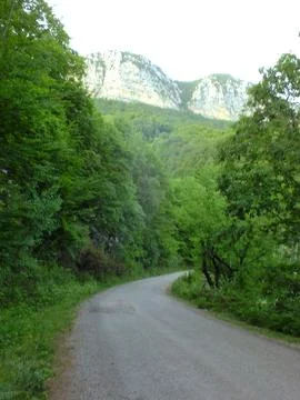 The view of the green place in spring Stock Photos