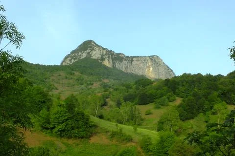 The view of the green place in spring Stock Photos