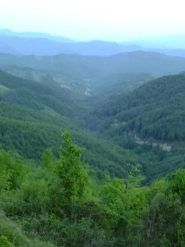 The view of the green place in spring Stock Photos