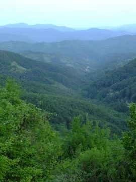 The view of the green place in spring Stock Photos