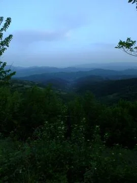 The view of the green place in spring Stock Photos