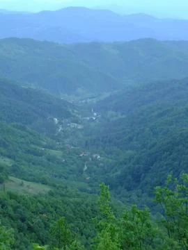 The view of the green place in spring Stock Photos