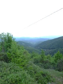 The view of the green place in spring Fotos de archivo