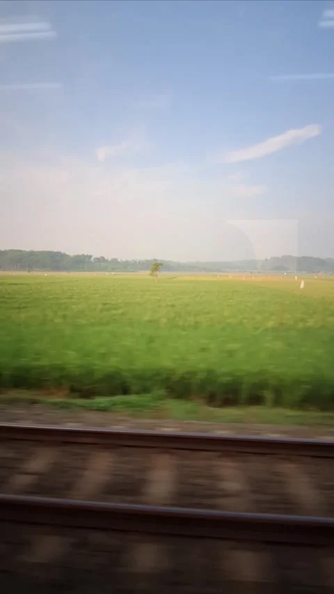 A view of green rice fields as the train passes. Stock Footage 327253434