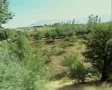 View of green trees and countryside from moving train SD Footage