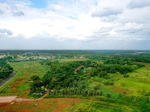 View of green trees with clear sky Stock Photos