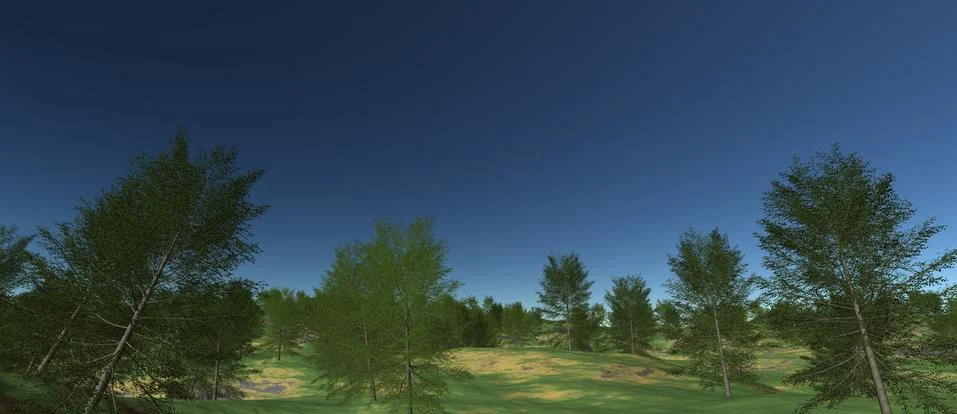 A view of the green trees on a small hill Stock-Illustration