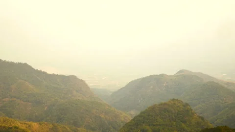 View of green trees on top of mountain hill during sunset time at nation park Stock Footage 237459078