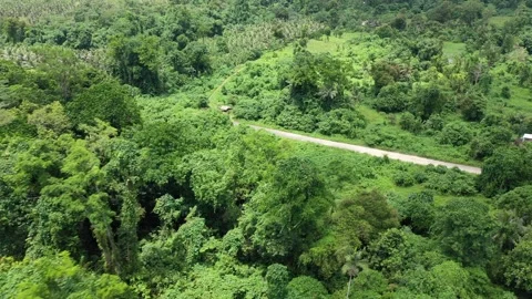 View of the green tropical forest. River in tropical jungle. Vanuatu Stock Footage 276547326