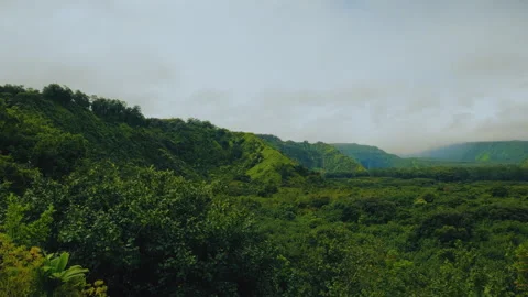 A view of green tropical valley on a cloudy day. A view of Wailua Valley  Vídeo Stock 274926402
